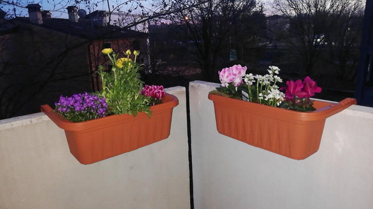 Appartamento Con Due Camere Da Letto E Free Park Верона Экстерьер фото